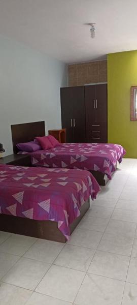 Hermoso departamento amueblado.
